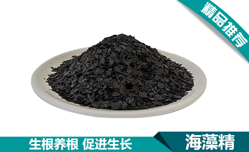 微信圖片_20230619160040.jpg