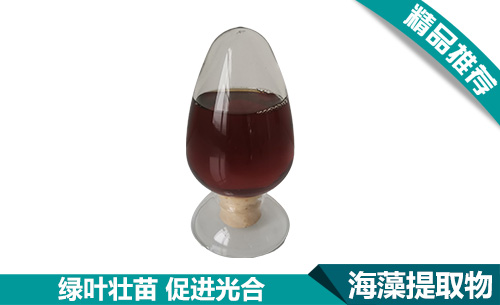 微信圖片_20230619160036.jpg