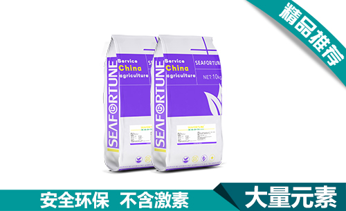 大量元素