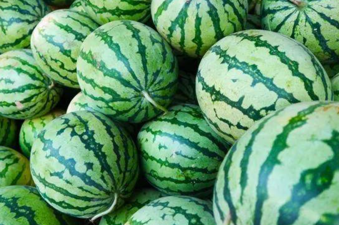 夏季水果種植小技巧之西瓜種植怎么才甜