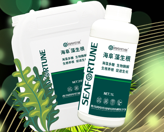 海藻生根水溶肥：特點與使用方法