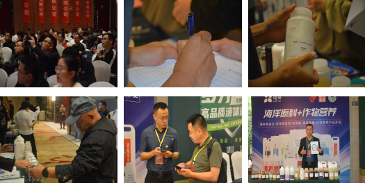 大會(huì)分享交流情況