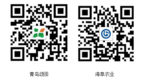 公司官網(wǎng)二維碼