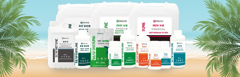 花卉花肥：種類、作用及使用方法