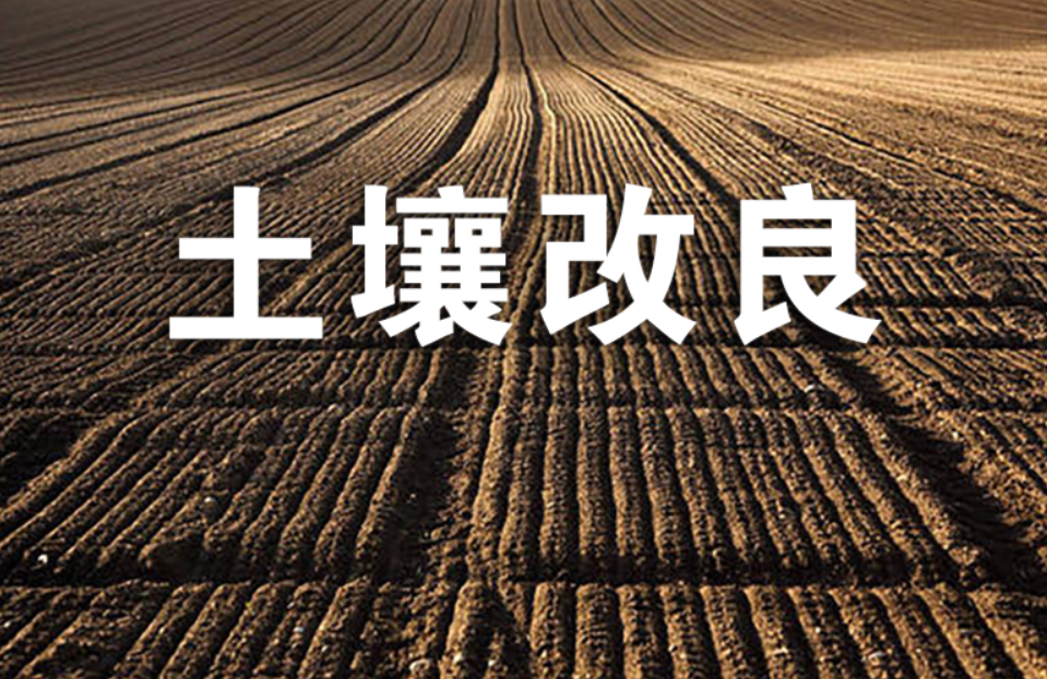 地里的鹽分太高怎么調(diào)整 調(diào)整與管理方法