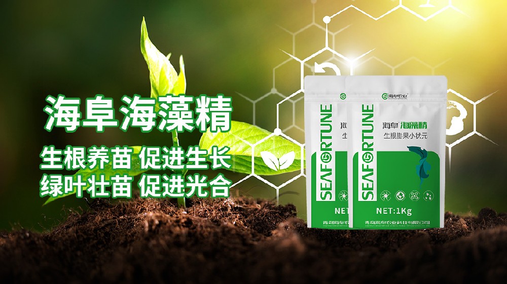 海藻精用量過多的害處有哪些