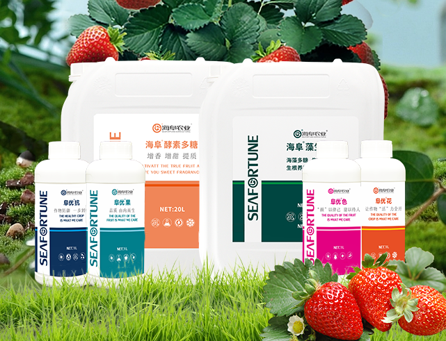 草莓用什么土種植最好 草莓種植的最佳土壤類型