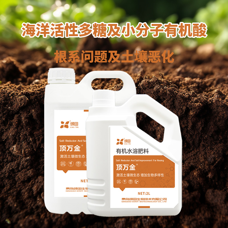 快速改善鹽堿地最快的方法探討