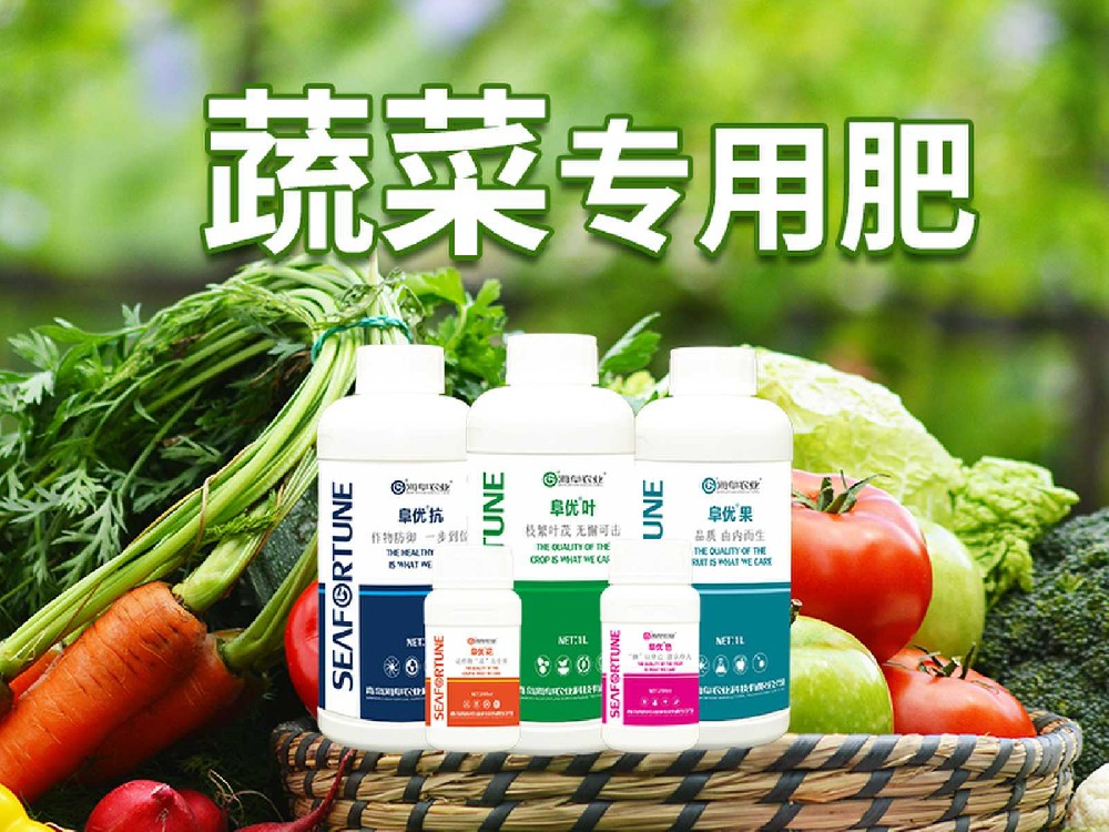 葉菜類蔬菜用什么肥料比較好 優選肥料與科學施用策略