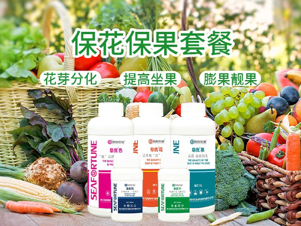 棗樹不結(jié)果應(yīng)該怎么處理 原因分析與處理策略