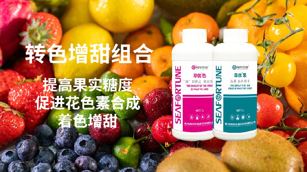 哈密瓜什么時候種植最合適 哈密瓜最佳種植時機的探索