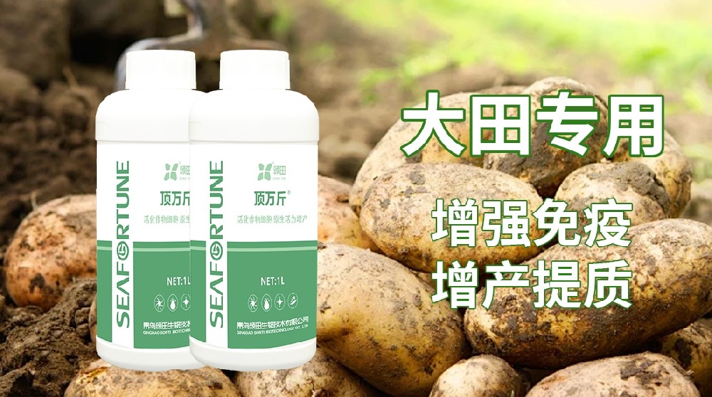 小麥老死苗爛根什么原因 小麥老死苗爛根的原因分析