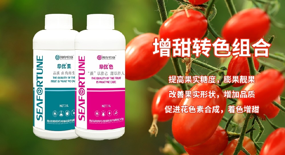 什么東西讓果樹結果甜 讓果樹結果更甜的秘密