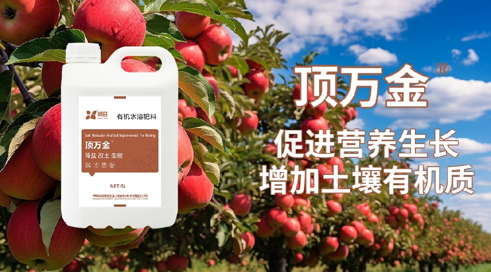 促進果樹花芽分化什么時候用肥最好呢