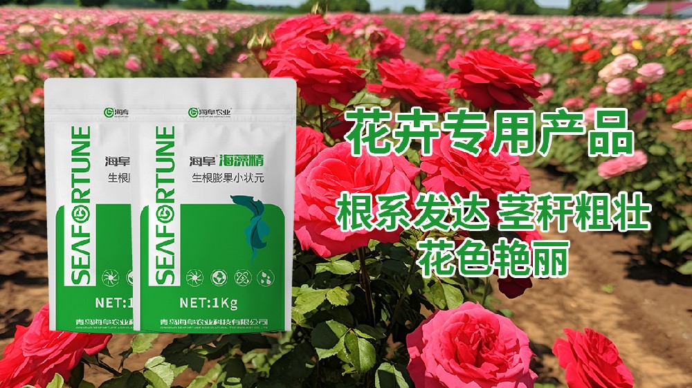 室內花卉植物肥料種類及特點解析