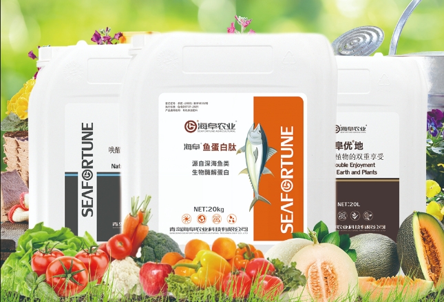 西瓜高效栽培管理技術要點全解析