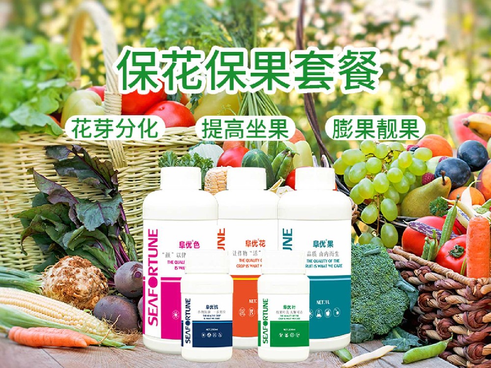 荔枝促花芽分化肥料施用的合適時(shí)間與管理