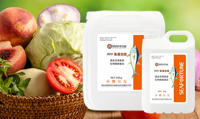西紅柿后期管理 確保豐收與品質(zhì)的秘訣