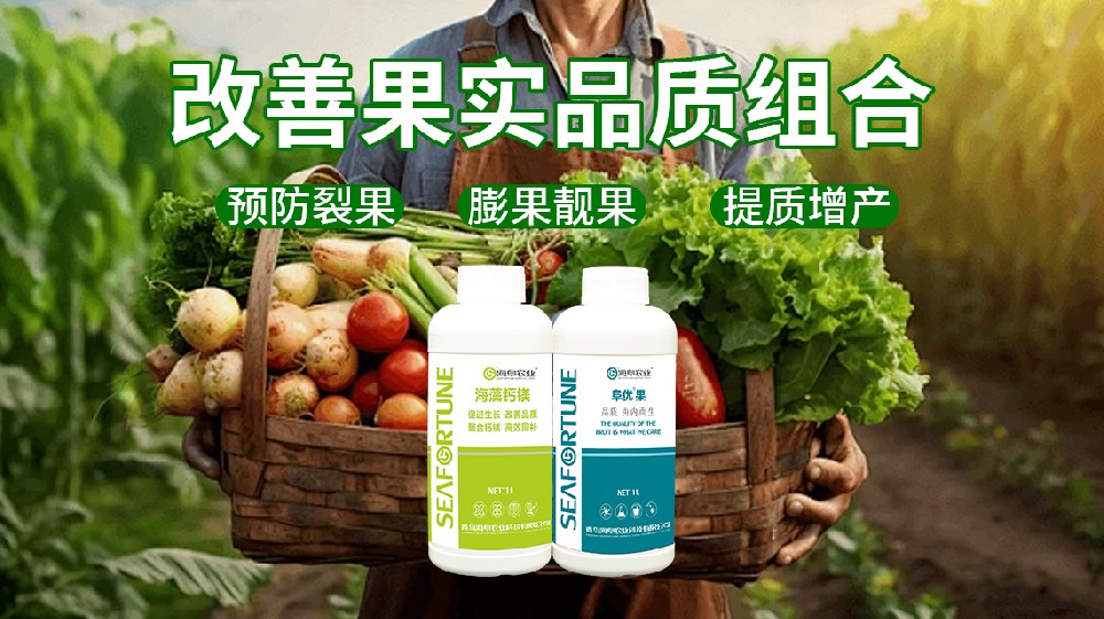 種花生喜歡什么肥料 花生種植中的肥料選擇與科學(xué)施肥策略