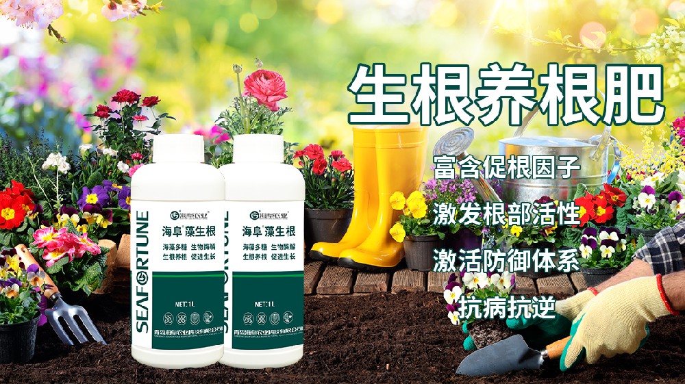 養花知識大全與技巧 全面解鎖養花秘籍