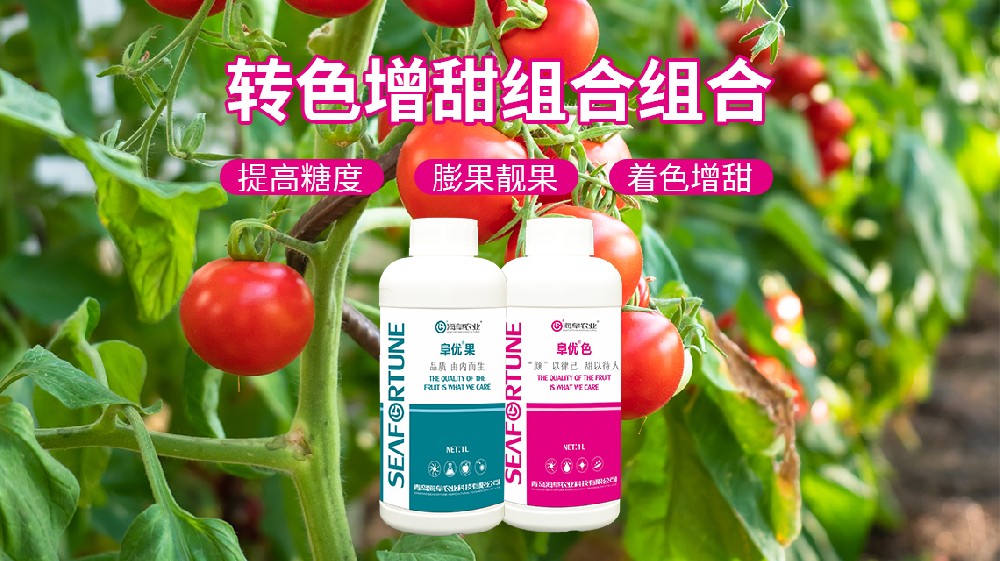 怎么讓草莓變得更甜 從種植到管理的全方位指南