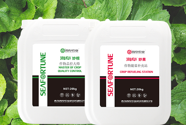枇杷樹冬季能否澆水施肥 枇杷樹冬季管理指南