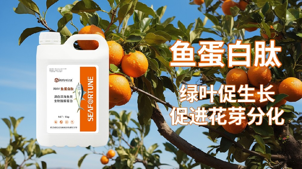 柑橘全年施肥時間表與用量指南分享