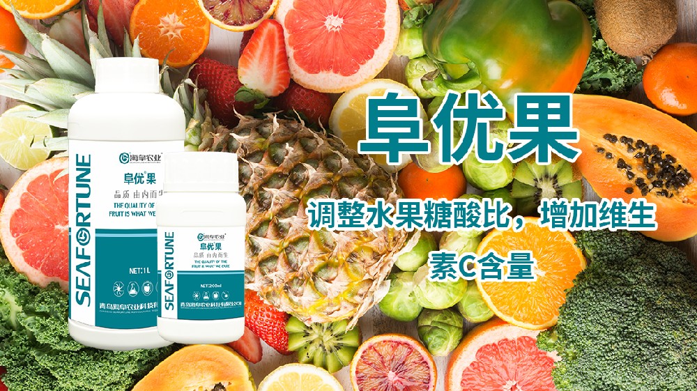 柑橘樹冬季什么時間施肥最好 實用施肥建議分享