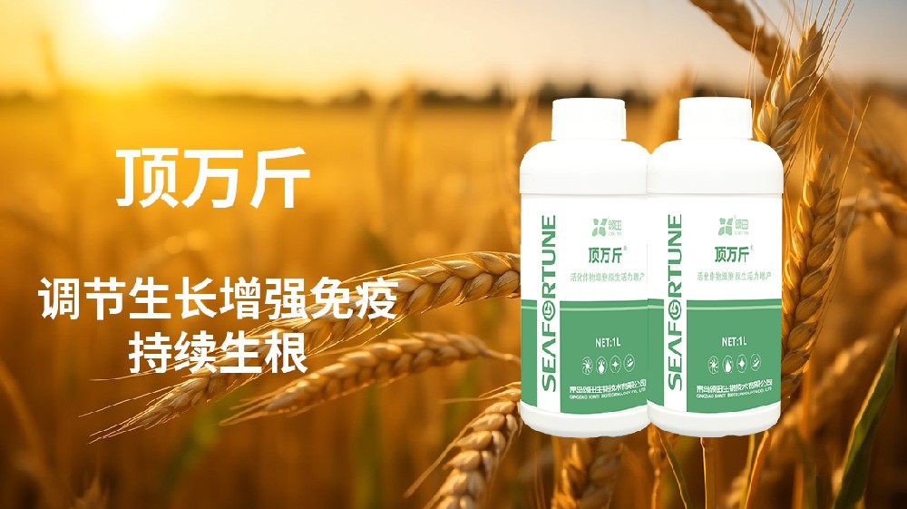 種番薯怎么種才能高產 番薯高產種植技術與管理要點