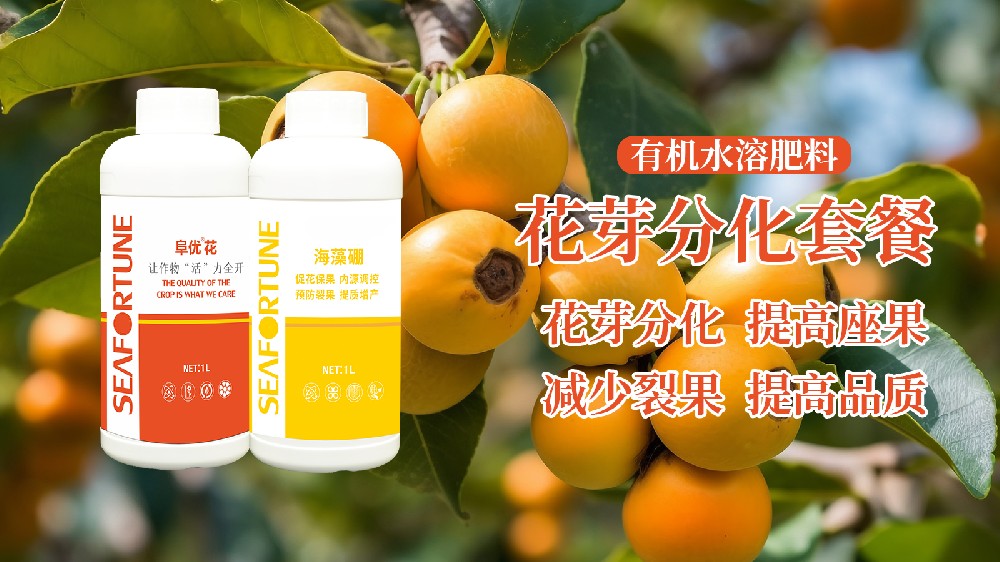 果樹應該什么時候施肥 全年肥料選擇指南