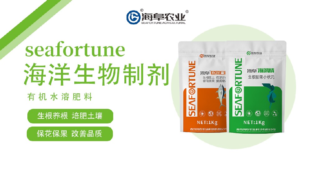 棗樹坐果后施肥管理：科學追肥助豐收