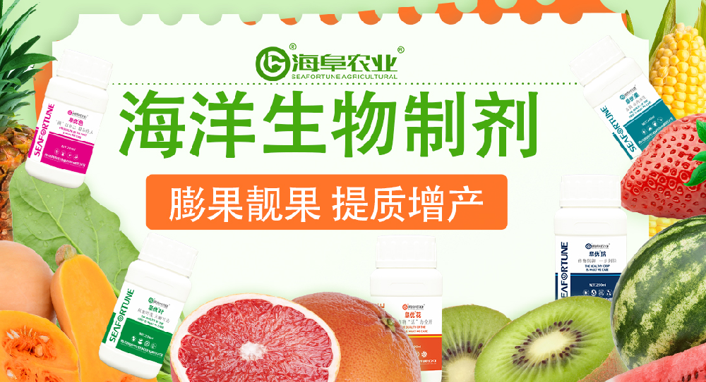 西瓜膨大用什么肥料 西瓜膨大期肥料選擇指南