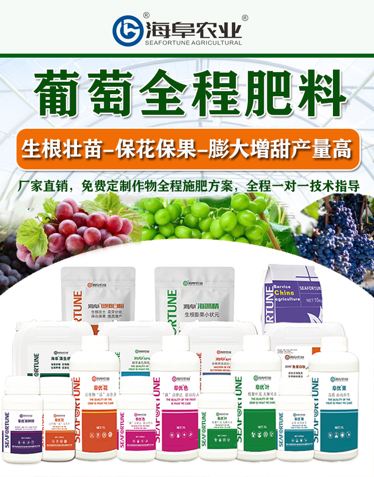 巨峰葡萄怎樣提高坐果率 提高坐果率的綜合策略