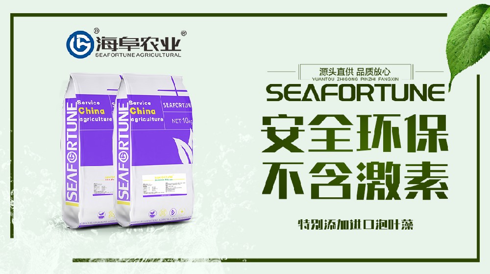 如何挑選優質的大量水溶性肥料 全面指南與關鍵要素解析