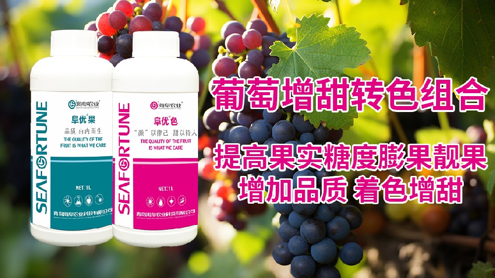 青島頌田生物：探究葡萄樹多年未結果之謎：原因何在？